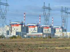 Ростовская АЭС работает в штатном режиме после ночной атаки БПЛА на Волгодонск