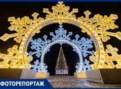 Волшебство без затрат и снега: как Ростов-на-Дону встречает Новый 2025  год без бюджета на украшения