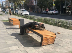 Ароматные «тюленчики», нежащиеся в лучах осеннего солнца, вызвали зависть ростовчан
