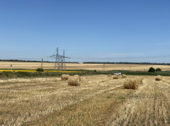 Владимир Путин оценил ход посевных работ в Ростовской области 