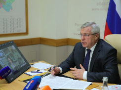 Губернатор Ростовской области попросил ФАС проверить цены на ПЦР-тесты