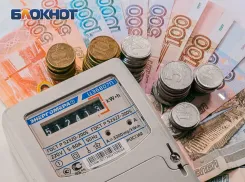 Долги управляющих компаний Ростовской области за электроэнергию достигли 60 млн рублей