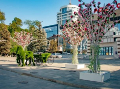 Ростовская прокуратура нашла нарушения при подготовке к празднованию Дня города