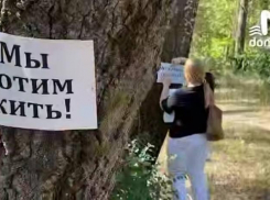 Экоактивисты вышли обнимать деревья в Кумженской роще в Ростове