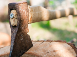 В Ростове из-за строительства перехода вырубят деревья