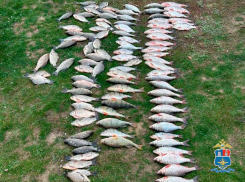 Браконьер в Ростовской области должен выплатить более 6,6 млн рублей за незаконный вылов рыбы