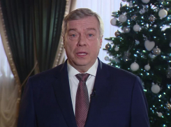 Василий Голубев поздравил жителей Ростовской области с наступающим Новым годом