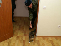 Новые служебные квартиры построили для бойцов 150-й мотострелковой дивизии  в Ростовской области 