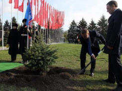 В Ростове появилась  аллея  Городов воинской славы