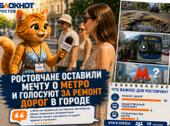 Ростовчане оставили мечту о метро и голосуют за ремонт дорог в городе