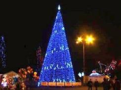 В новогоднюю ночь-2017 у главной елки Ростова горожане увидят президента Путина