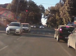 Собака «подколола» автомобилистов и спровоцировала ДТП на пешеходном переходе в Ростове