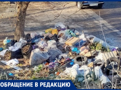 Мусорные баки раздора: контейнерная площадка в Первомайском районе Ростова доставляет головную боль жителям и УК