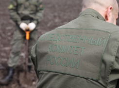 Следком подтвердил информацию о задержании отца убитого 7-летнего мальчика в Ростове