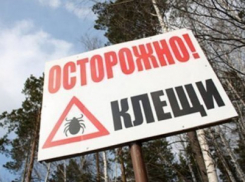 В Ростовской области 56 человек заразились Крымской геморрагической лихорадкой 