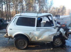 Девочка 4-х лет погибла в ДТП на трассе Ростов-на-Дону – Ставрополь