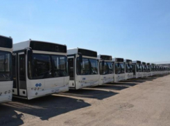 В Ростове-на-Дону для маршрута №10 выбрали нового перевозчика