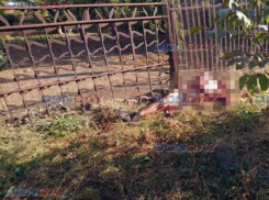 Труп голого мужчины в луже крови обнаружил на улице прохожий под Ростовом