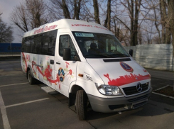 Курсирующие до аэропорта «Платов» крохотные миниавтобусы разочаровали жителей Ростова