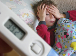 К ребенку с температурой под 40 градусов «скорая помощь» в Ростове ехала два часа