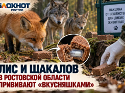 Лис и шакалов в Ростовской области прививают «вкусняшками»
