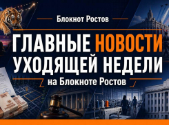 Главные события и резонансные итоги уходящей недели в Ростовской области