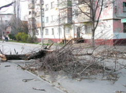 В Ростове прогнозируется резкое ухудшение погоды