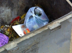 Бессердечную мать выброшенного в мусорный контейнер ребенка разыскивают в Ростове