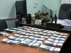 Мошенника из налоговой службы в Ростовской области отпустили на свободу после пересмотра приговора