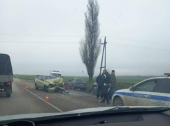 В Ростовской области два человека погибли при столкновении трех машин