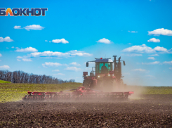 В Ростовской области началась весенняя посевная кампания 2026 года