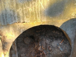 Шокирующие фотографии ливневок в Ростове стали хитом Интернета