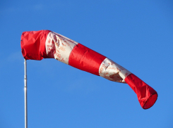 В Ростове-на-Дону ветер усилится до 18 м/с