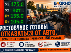 Ростовчане готовы отказаться от авто, если цена топлива превысит 150 рублей