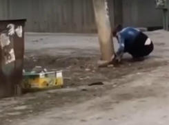 Весеннее «обострение» девушки возле столба на глазах у детей сняли на видео жители Ростова