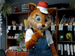 Праздничные бутербродики от белочки ТКОшки: порадуйте гостей