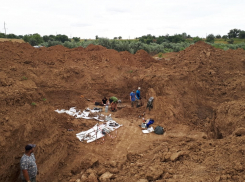 СК начал работу в Сальске, где нацисты массово расстреляли 3,5 тысячи местных жителей