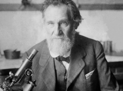 Имя на карте Ростова: Илья Мечников – гениальный ученый и Нобелевский Лауреат, отдавший свое тело на опыты