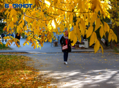 В Ростове на этой неделе ожидается ясная и прохладная погода