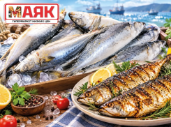 Товар дня: скумбрия свежемороженая за 359,90 ₽/кг