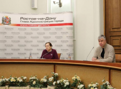 Власти Ростова скоординировали работу всех служб в новогоднюю ночь