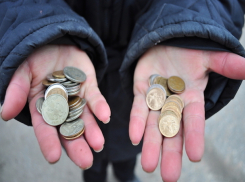 Смехотворное пособие в 47,5 рублей выписали матери-одиночке в Таганроге