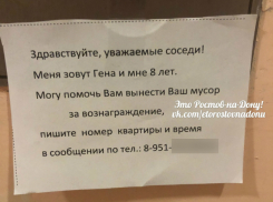 Заработать на «ленивых соседях» решил смышленый 8-летний жилец многоэтажки в Ростове