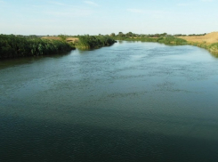 Оросительный сезон с донской водой начался в Ростовской области