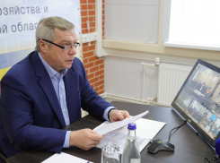 Потери бюджета Ростовской области из-за пандемии составили 4,7 млрд рублей 