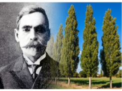 Календарь: 120 лет со дня подарка ростовчанам от купца Бахчисарайцева 