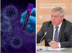 Снимать ограничения в Ростовской области будут по системе «светофор»