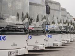 В Ростовской области монетизация льгот может привести к краху транспортной отрасли