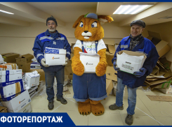 Жители Ростова спасли 12 деревьев, сдав макулатуру