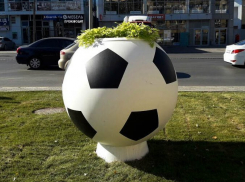 Особые правила торговли будут действовать в Ростове на период ЧМ-2018